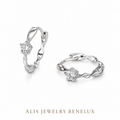 Boucles d'oreilles anneau argent
